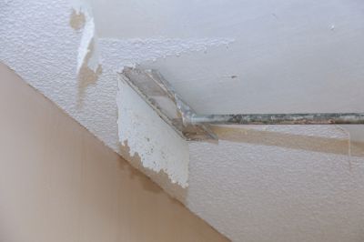 Blown Ceiling Removal