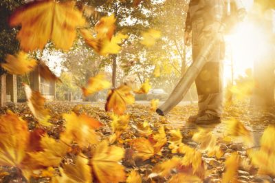 Clearing Leaves From Lawn Services