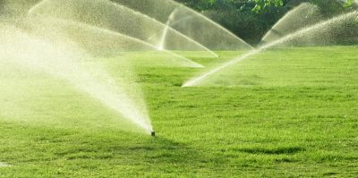 Grass Irrigation System Repair