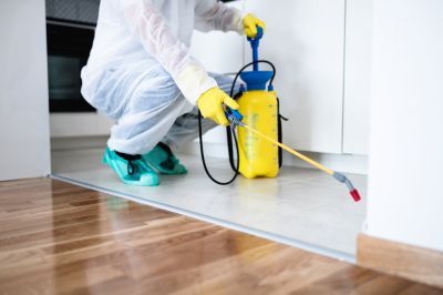 Bed Bug Treatment - Pro Services Lubbock, Texas