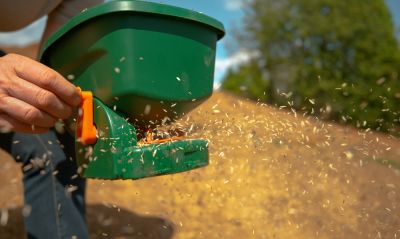 Commercial Grass Seeding - Pro Services Lubbock, Texas