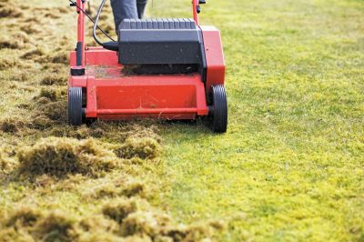 Grass Thatching - Pro Services Lubbock, Texas