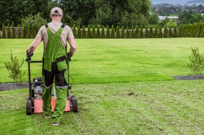 Residential Lawn Aerating - Pro Services Tallahassee, Florida