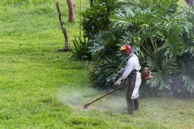 Weed Eating Services - Pro Services Tallahassee, Florida